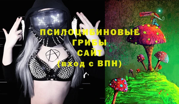 дживик Володарск