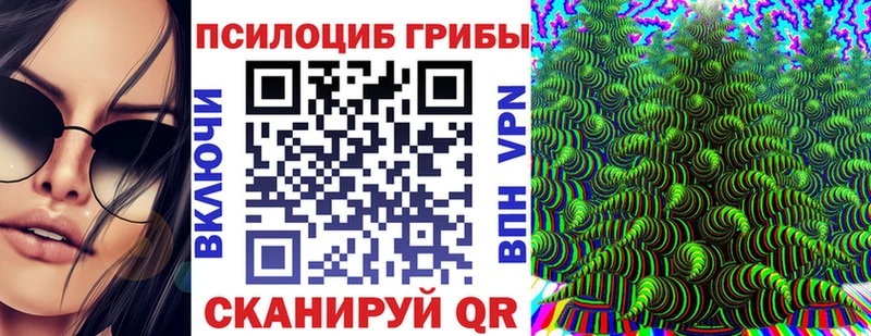 Купить где  Бавлы  Галлюциногенные грибы Psilocybine cubensis 